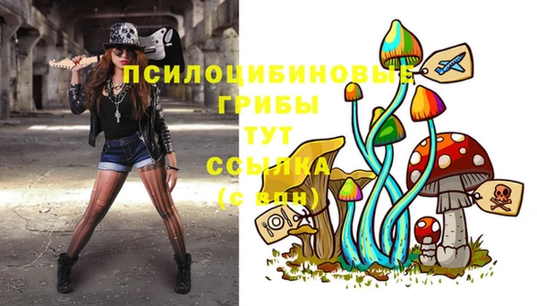 дурь Аркадак