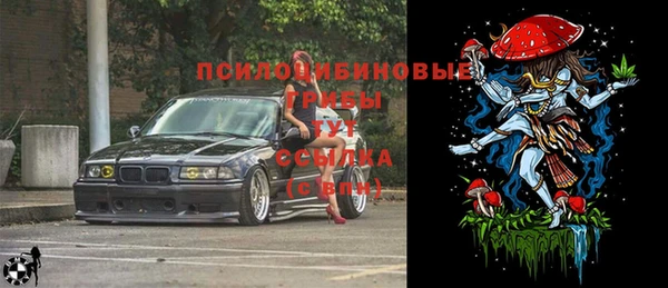 каннабис Арсеньев
