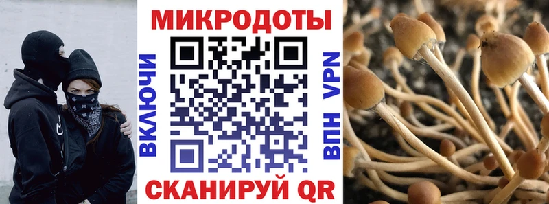 Псилоцибиновые грибы прущие грибы Среднеколымск