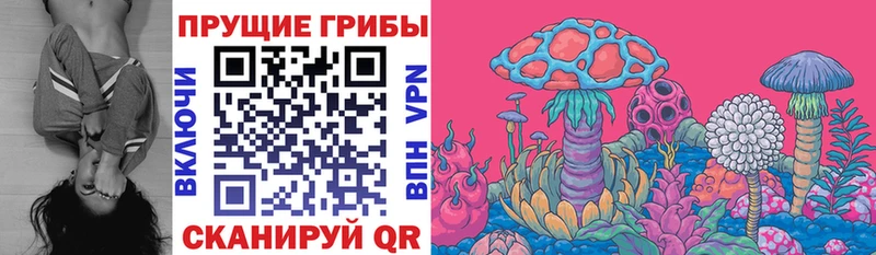 Псилоцибиновые грибы ЛСД  где купить наркоту  Среднеколымск 